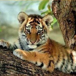 Meet your Posher, Juana